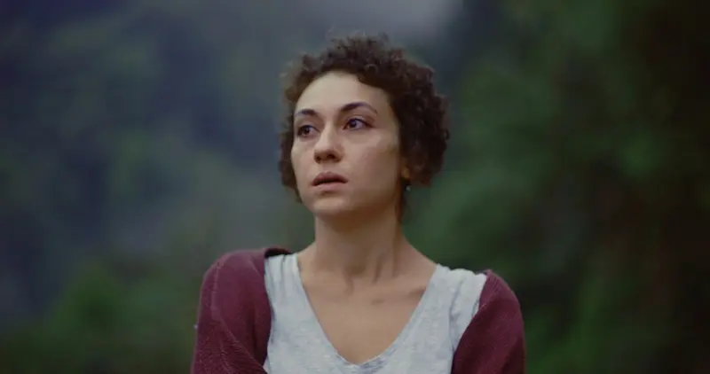 ANOUSH-4