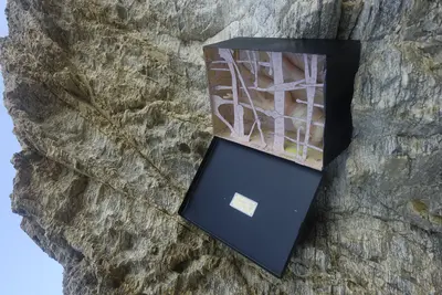 Antidote Box