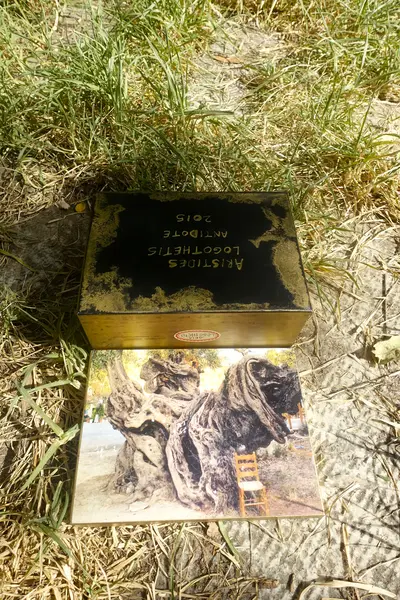 Antidote Box