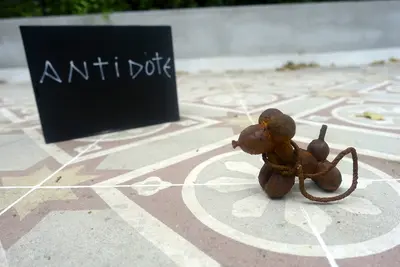 Antidote Box