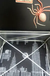 Antidote Box