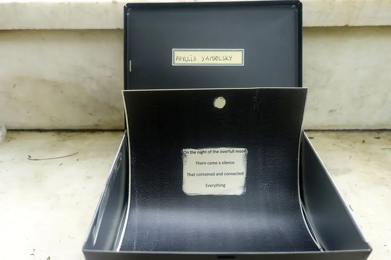 Antidote Box