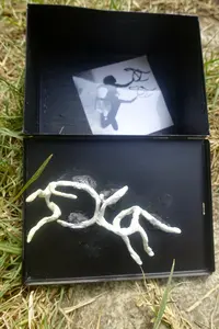 Antidote Box