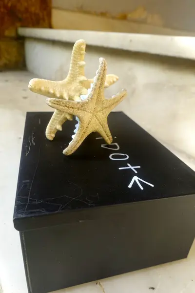 Antidote Box