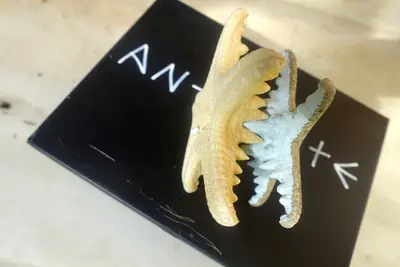 Antidote Box