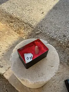 Antidote Box
