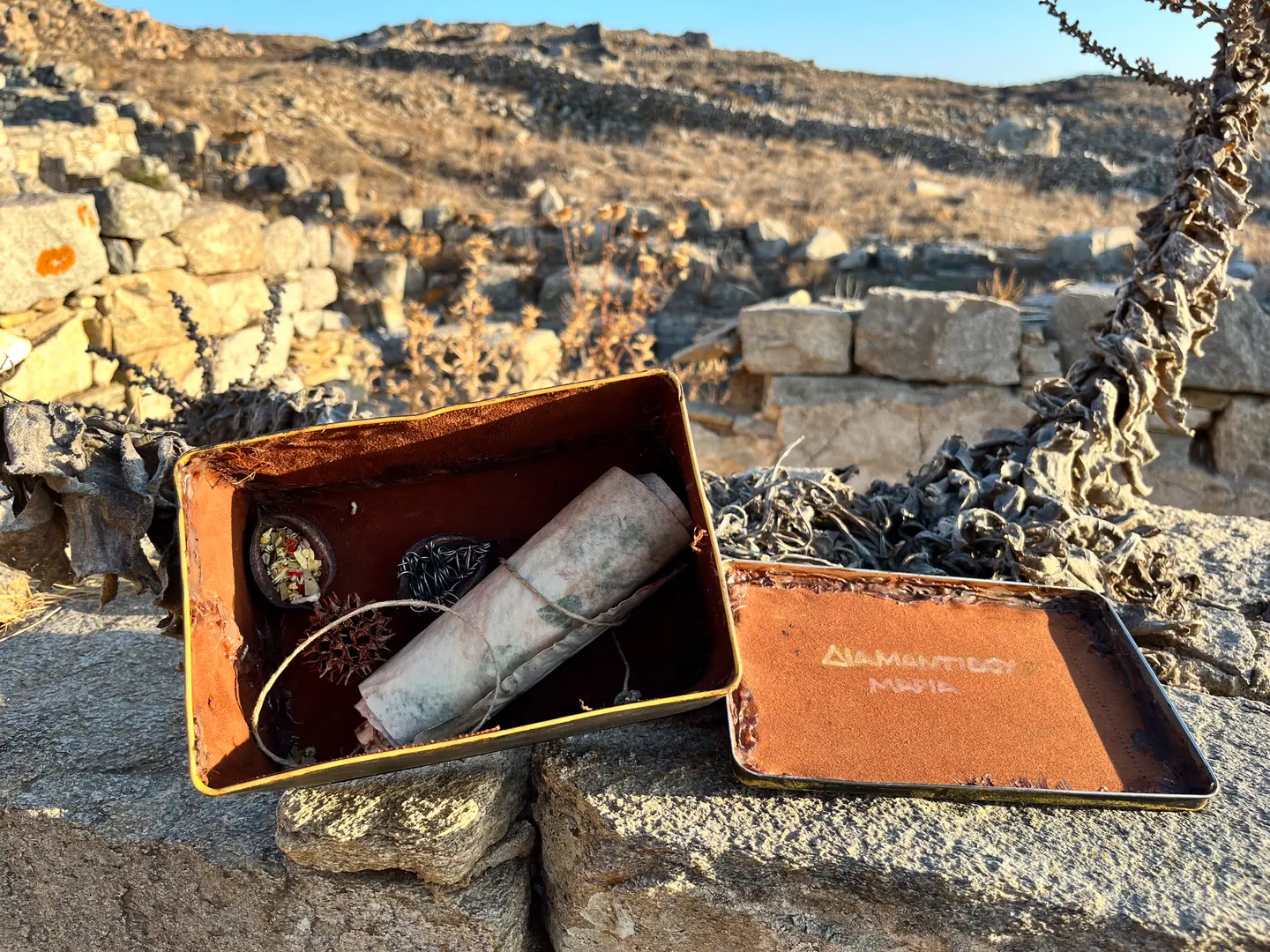 Antidote Box
