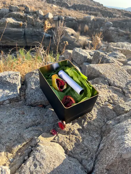 Antidote Box