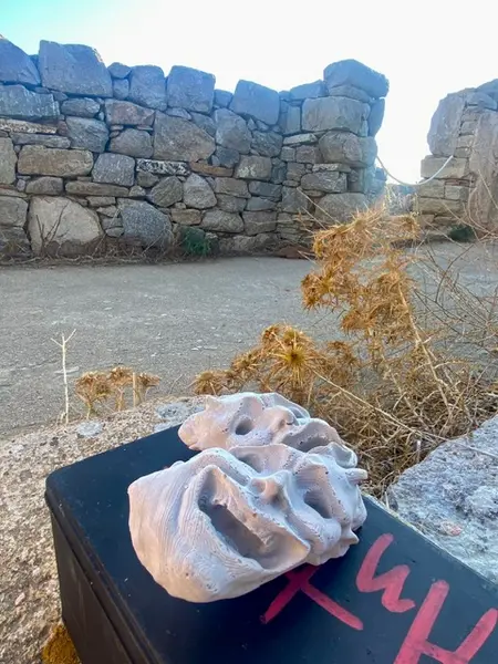 Antidote Box
