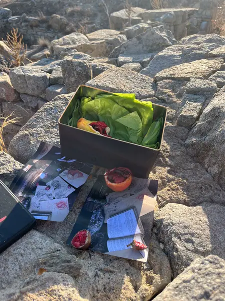 Antidote Box