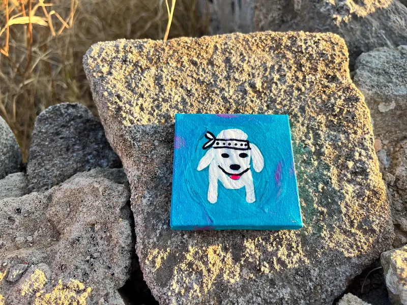 Antidote Box