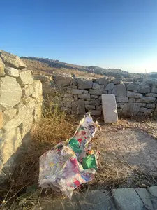Antidote Box