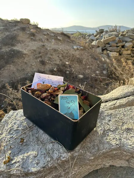Antidote Box