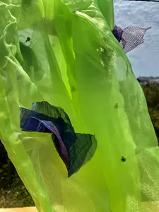 Antidote Box