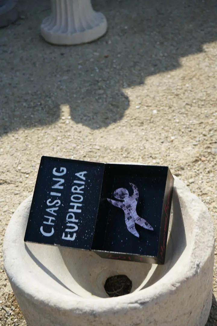 Chasing Euphoria