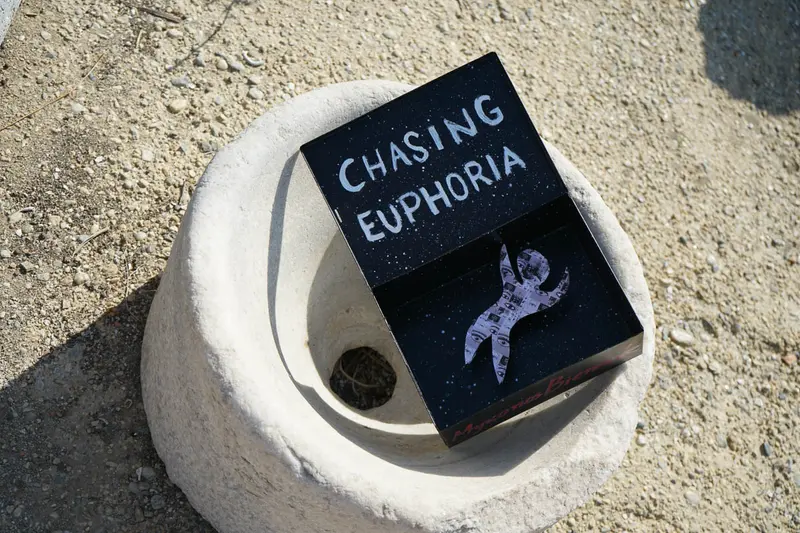 Chasing Euphoria