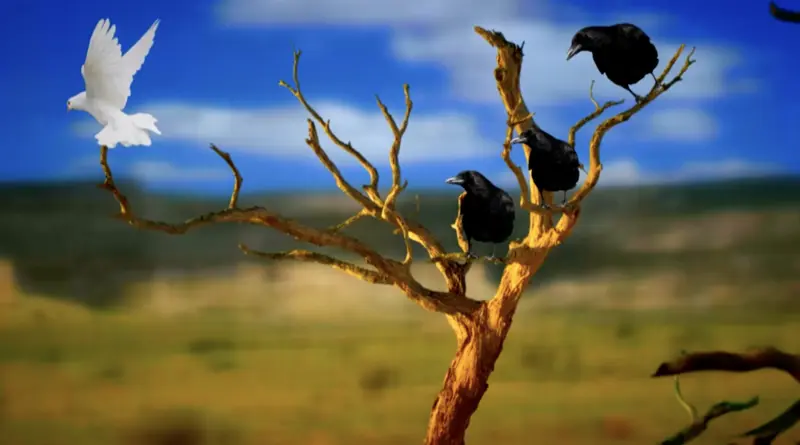 Darker Than Black