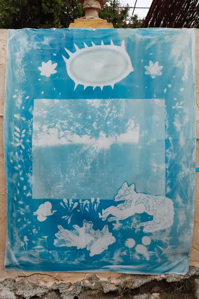 cyanotypes on cotton sheets