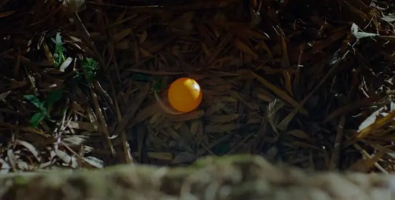 Egg
