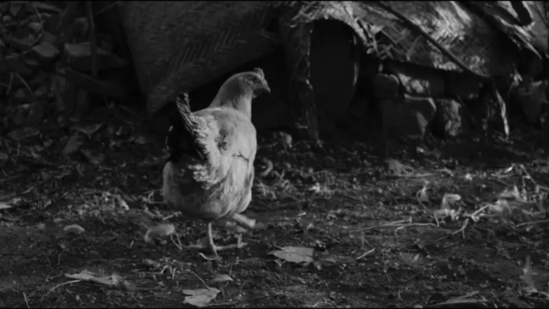 Egg