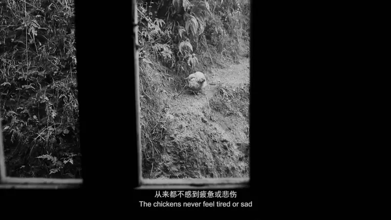Elegy for a village