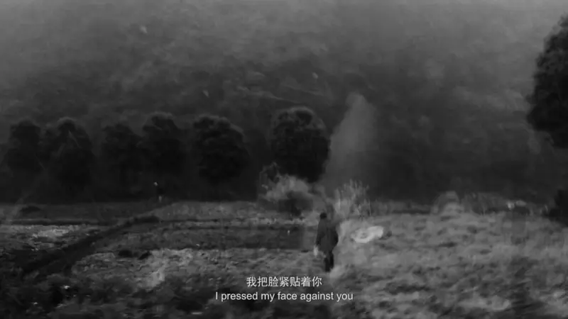 Elegy for a village