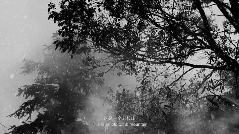 Elegy for a village