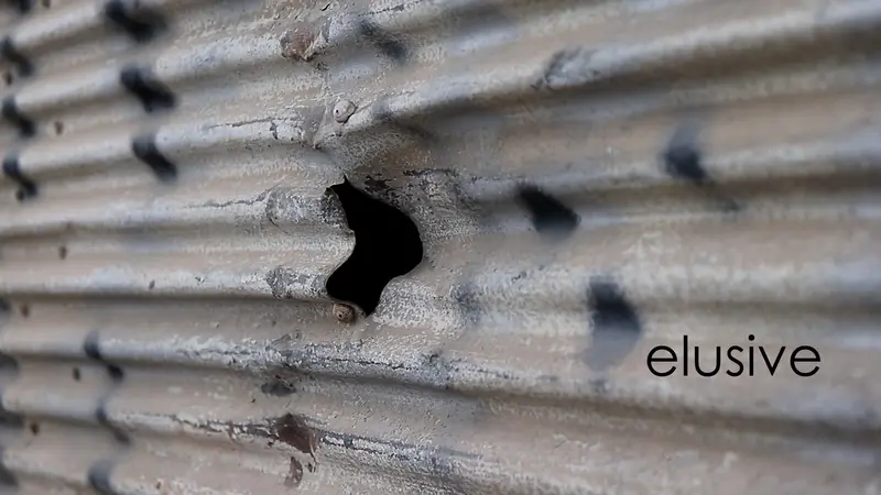 Elusive 1