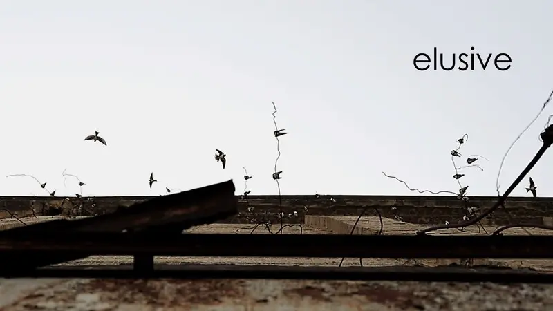 Elusive