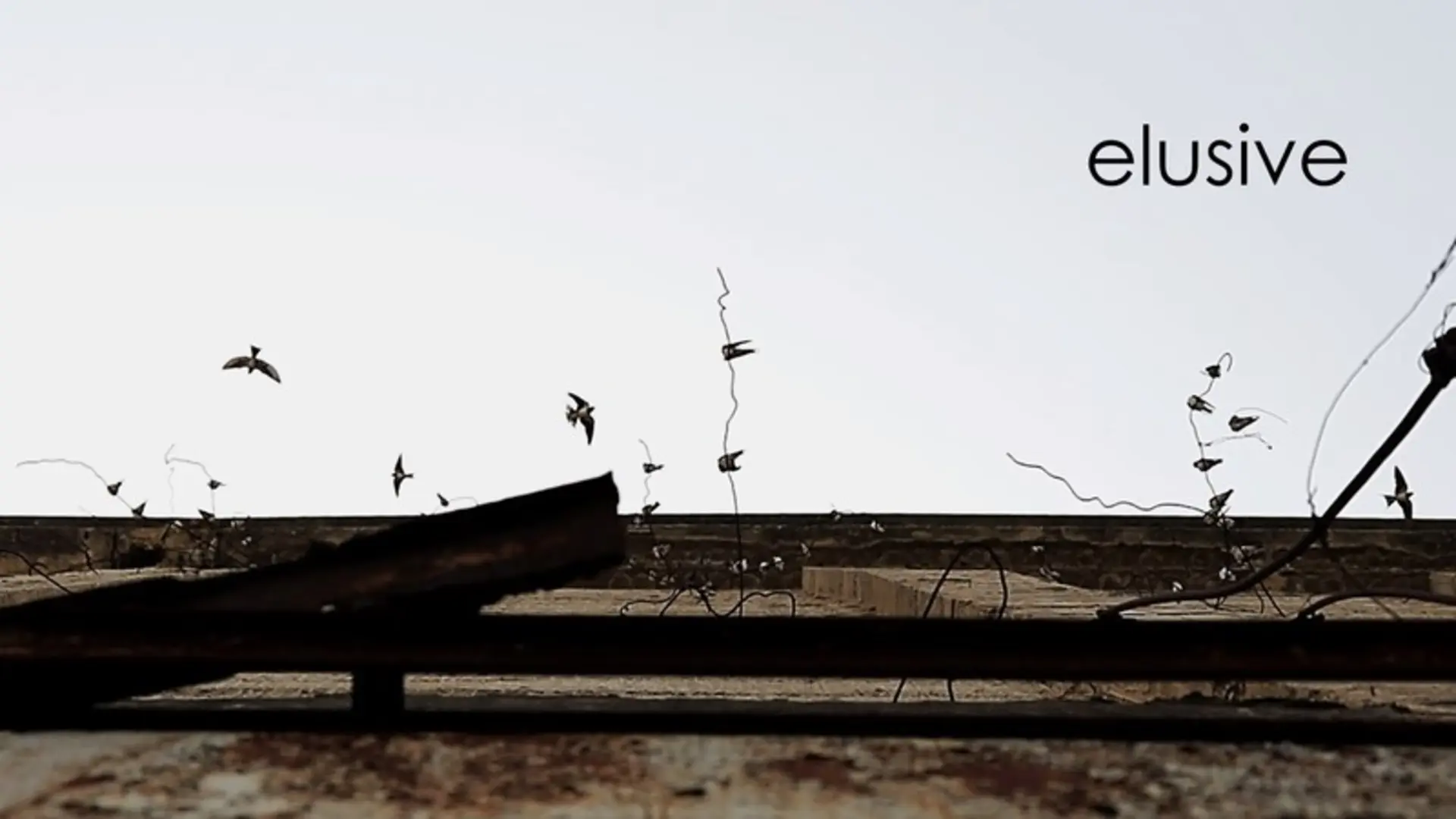 Elusive
