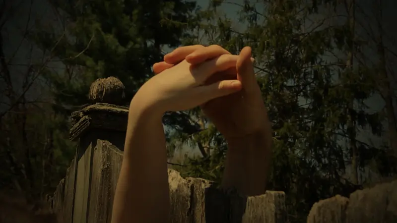 Hands Over Fence