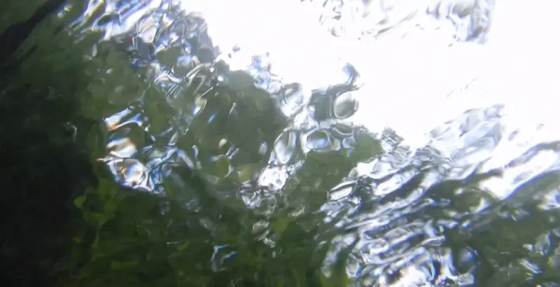 In the River's Flow