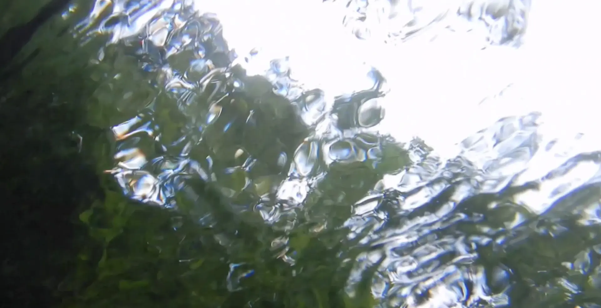 In the River's Flow