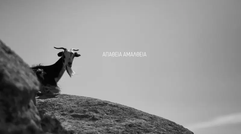 Katsikoland - Apathia Amalphia