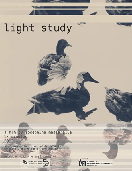 Light Study