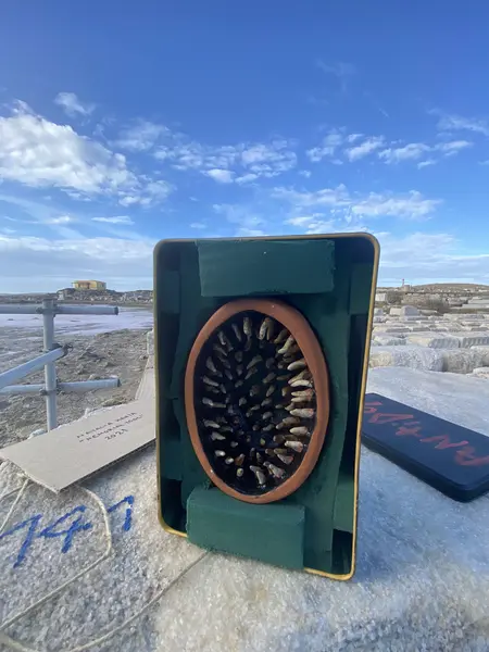 Memorial Tool