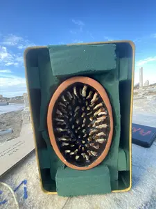 Memorial Tool