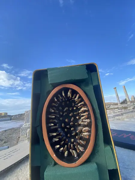 Memorial Tool