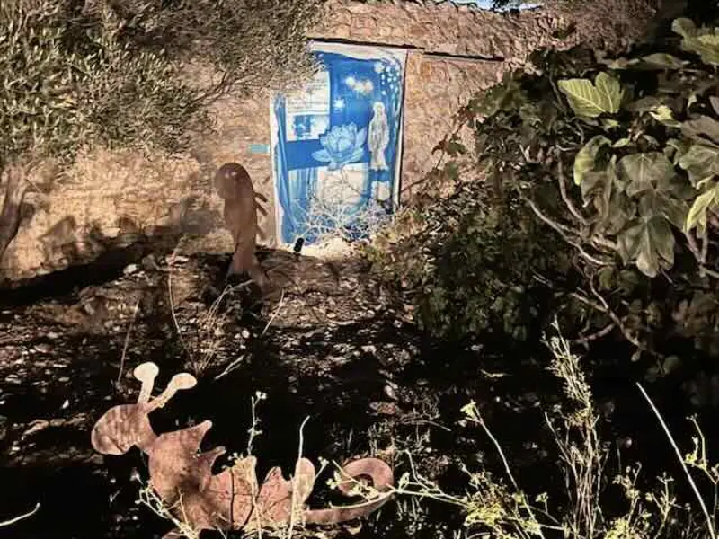 cyanotypes on cotton sheets