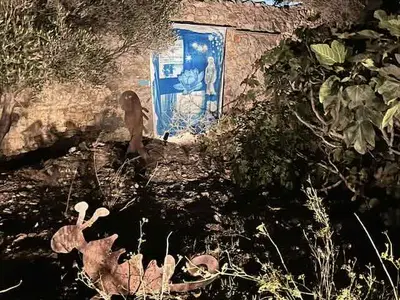 mykonos_beinnale-2025-mystic_garden-uk


 - 3.jpeg