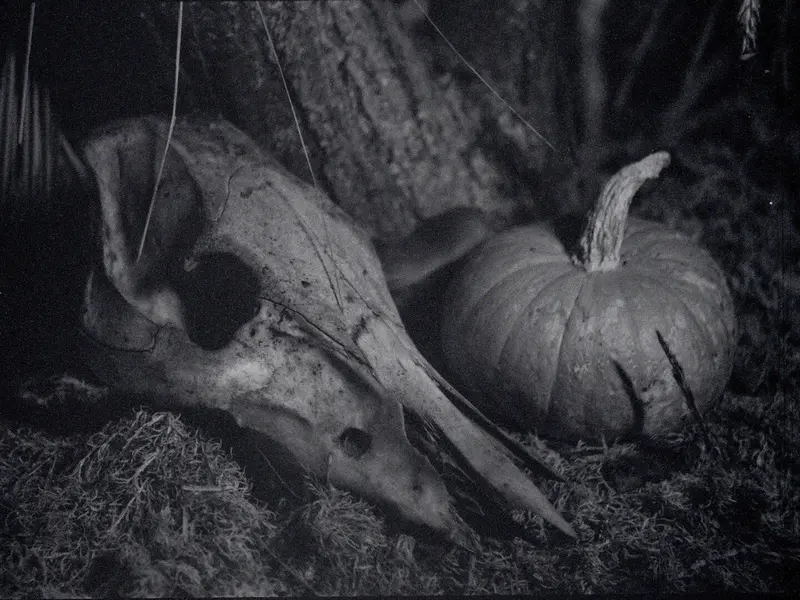 NATURE MORTE 1