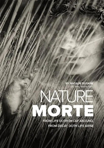 NATURE MORTE