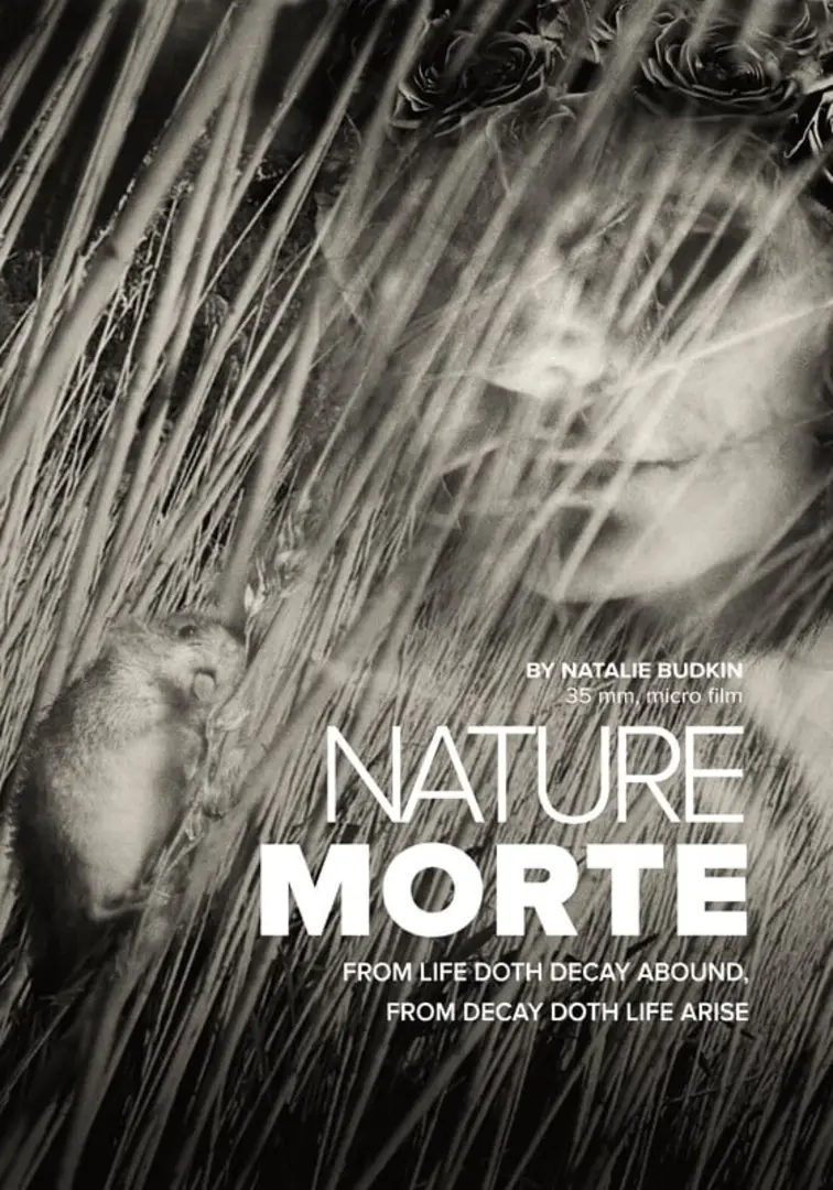 NATURE MORTE