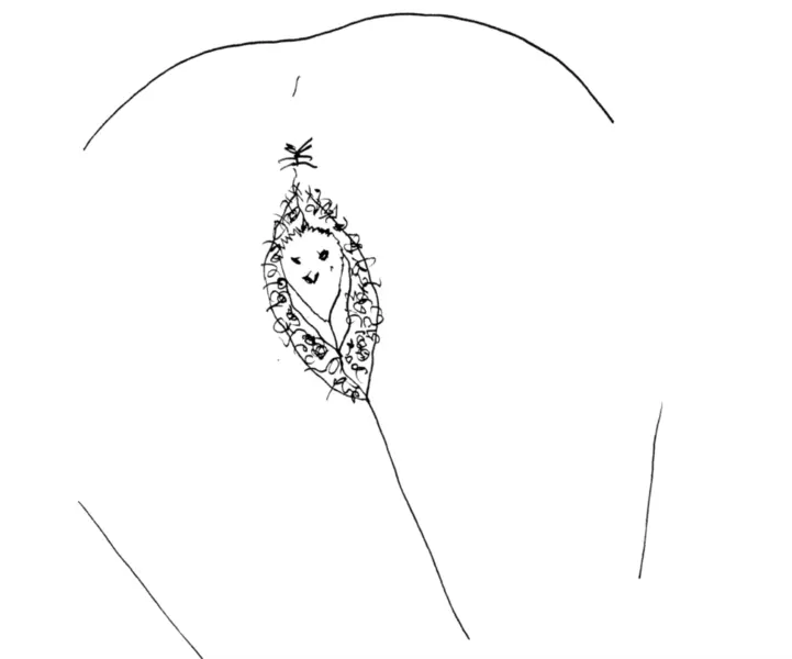 nest