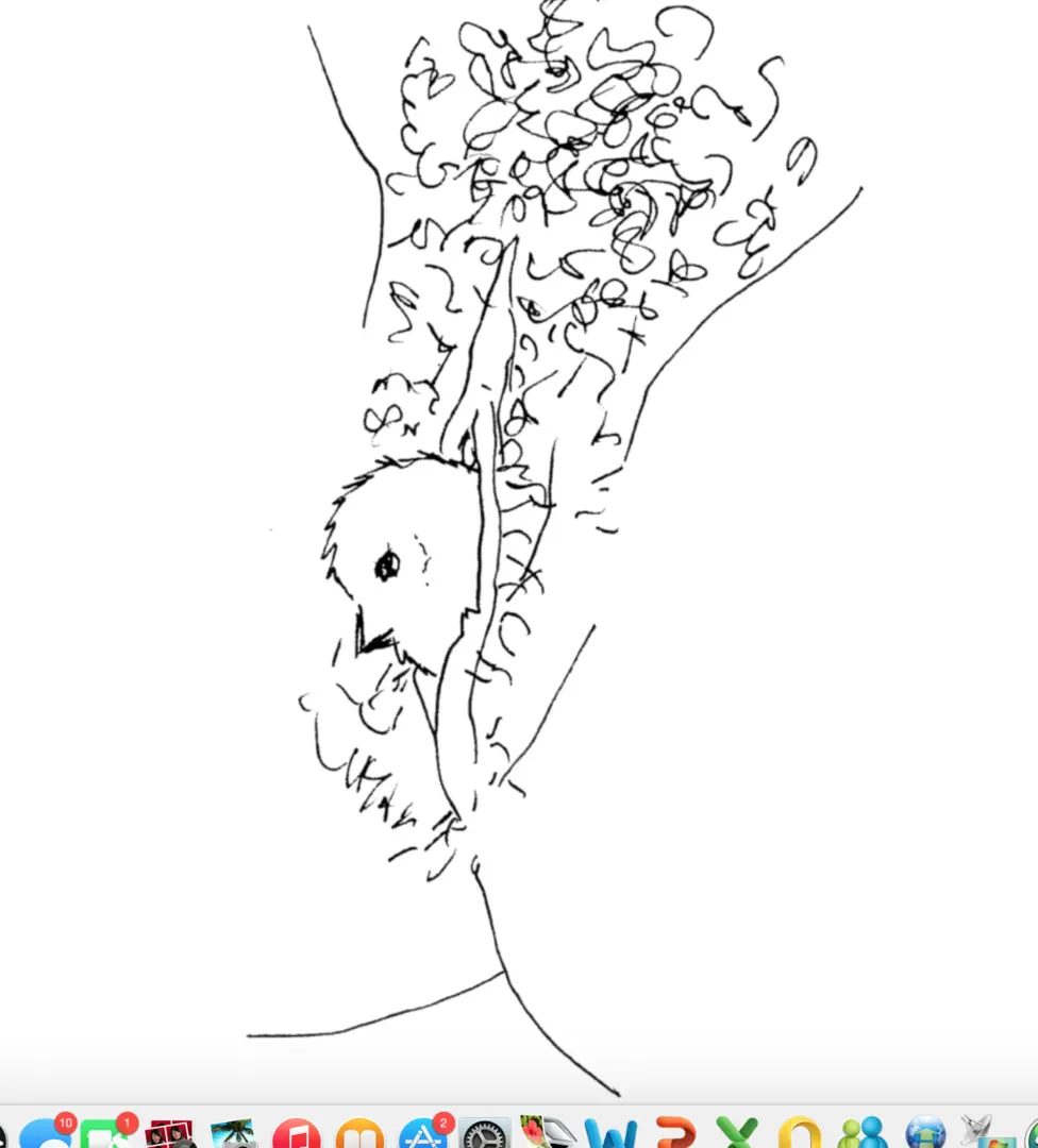 Nest