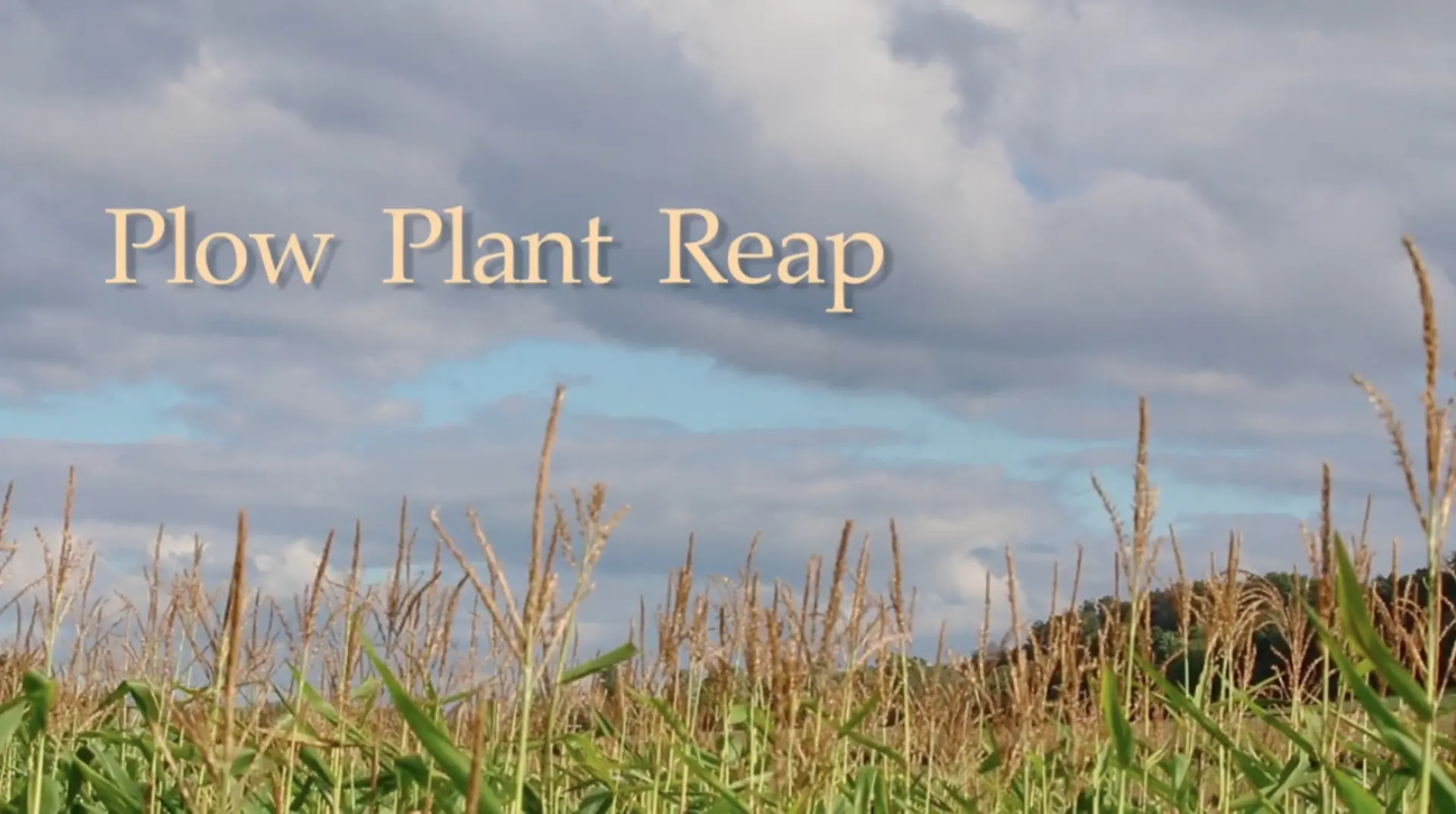 Plow Plant Reap