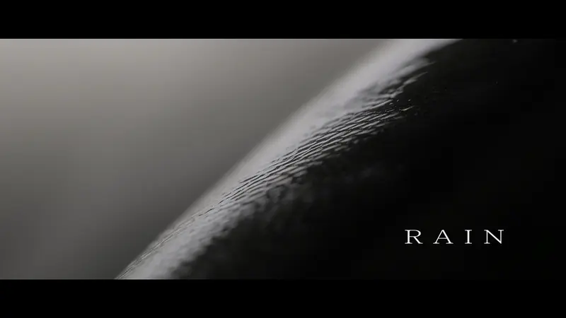 Rain