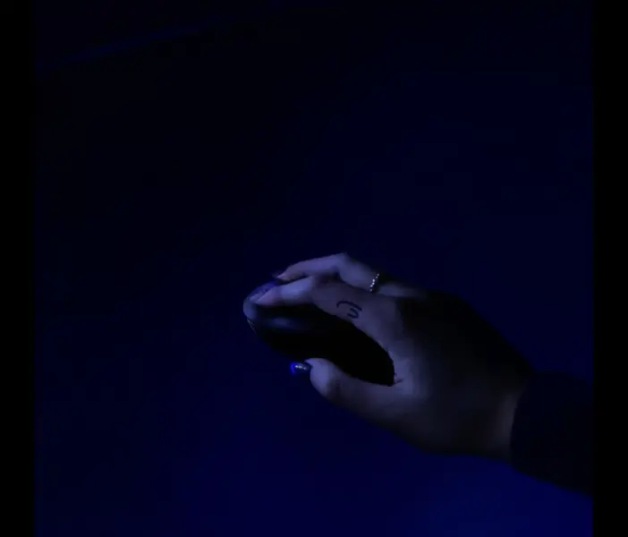reMemBer2.human