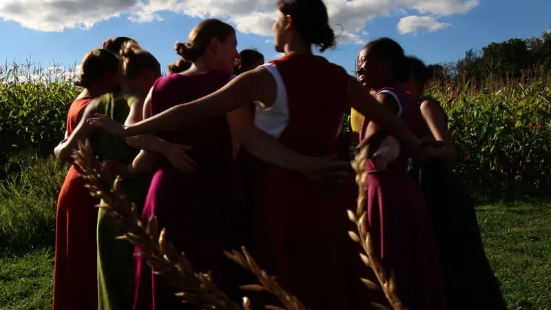 Renzi Corn Circle