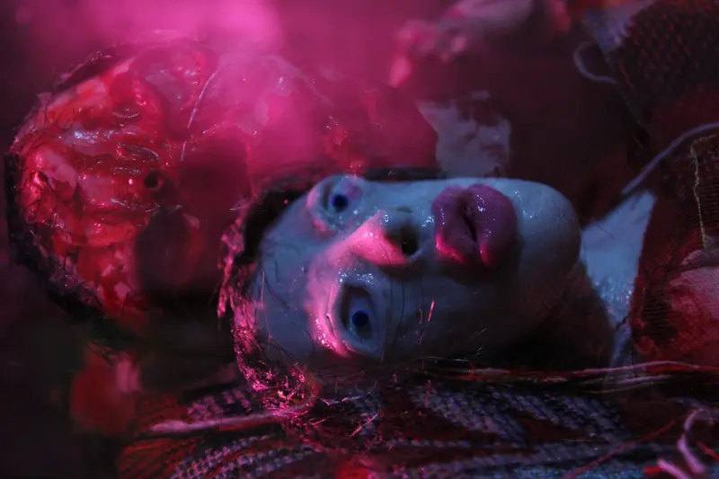 Rotting Love